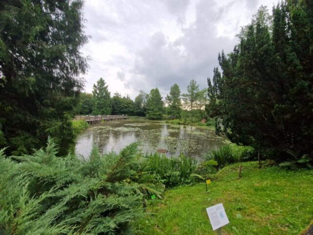 20250726_152950 — kopia