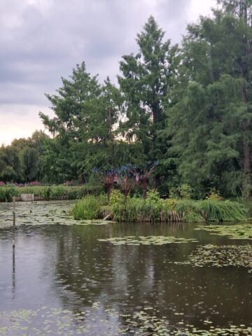 20250726_153145 — kopia